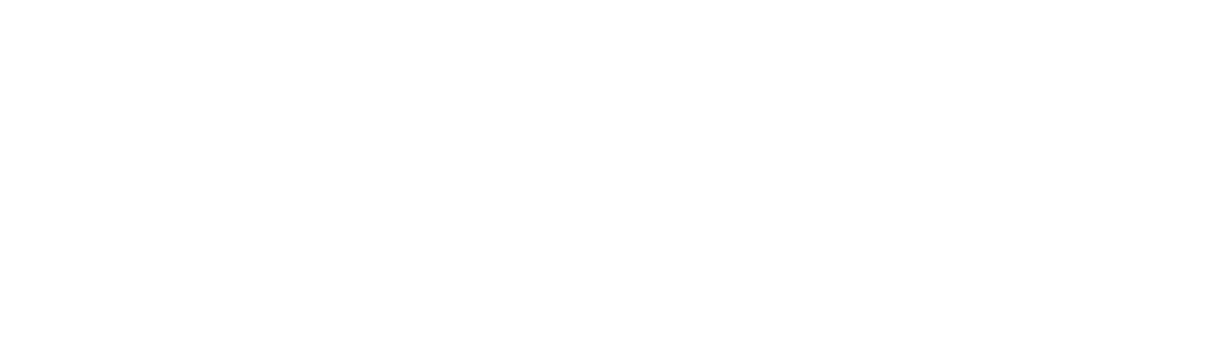 Ana-Chavez-Logo